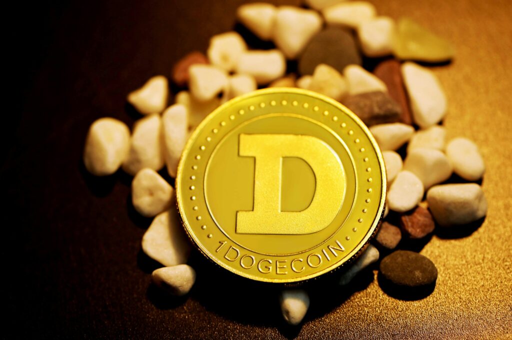 Dogecoin Down 20% – But Some Think This Is When the Real Gains Start