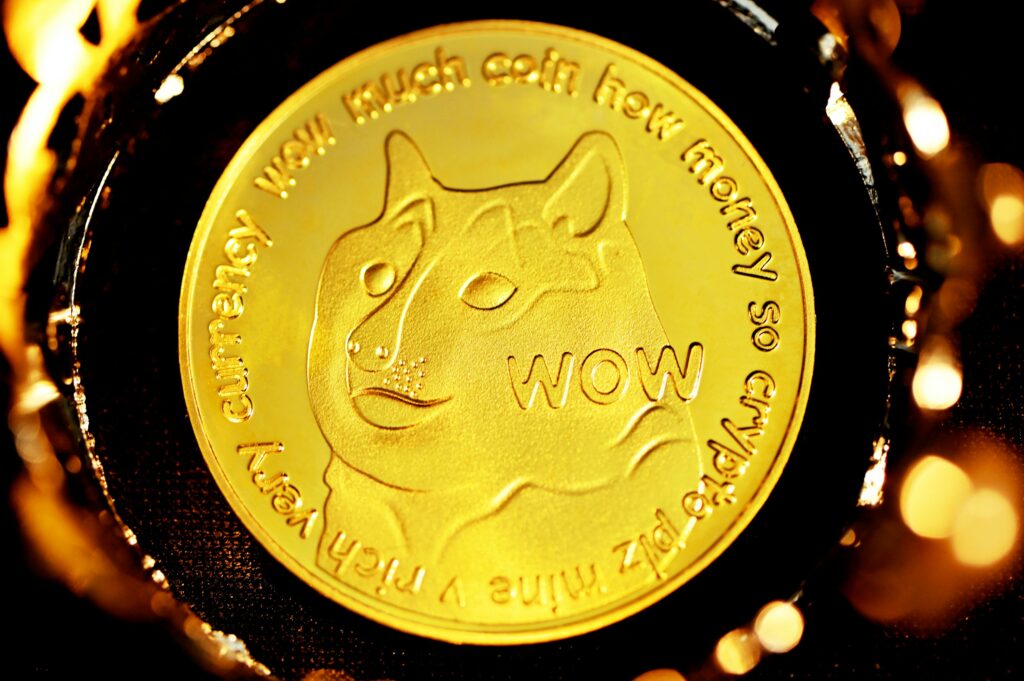 Dogecoin Sheds 25% As  Million Flees Market