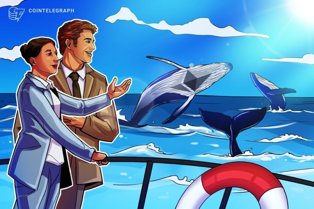 Crypto Whale Who Profited 0M From October Crash Opens .5M ETH Long Crypto Whale Who Profited 0M From October Crash Opens .5M ETH Long