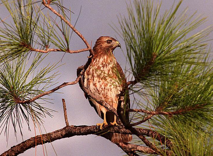 Jerome Powell and the Fed Have New Bearish Jobs Data to Mull Jerome Powell and the Fed Have New Bearish Jobs Data to Mull