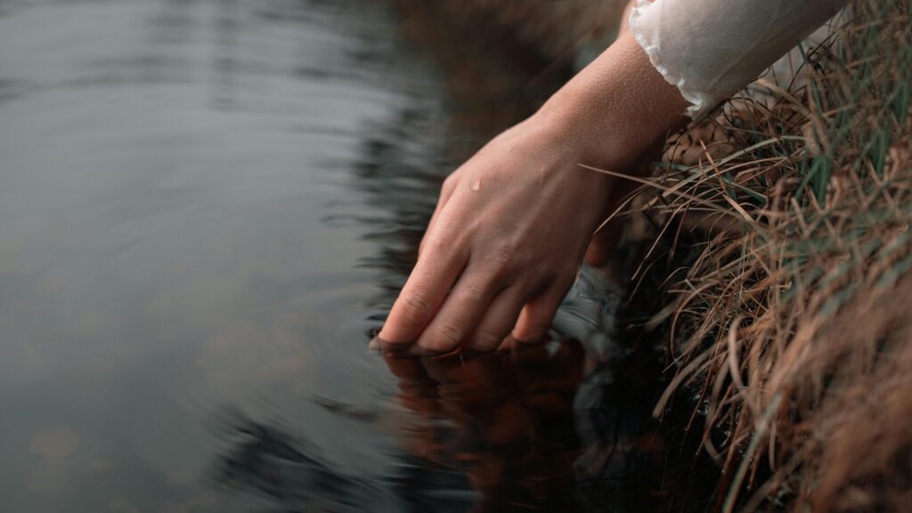 Texas Drops  Million On Bitcoin, Officially Buying The Dip First