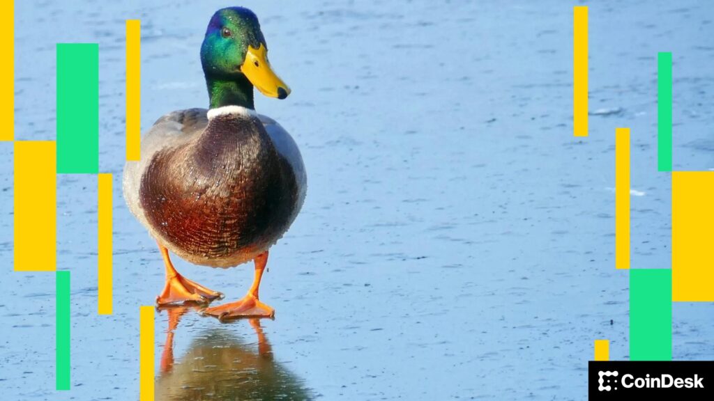 On Thin Ice: Crypto Daybook Americas